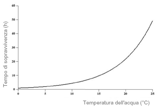 Grafico tempo sopravvivenza